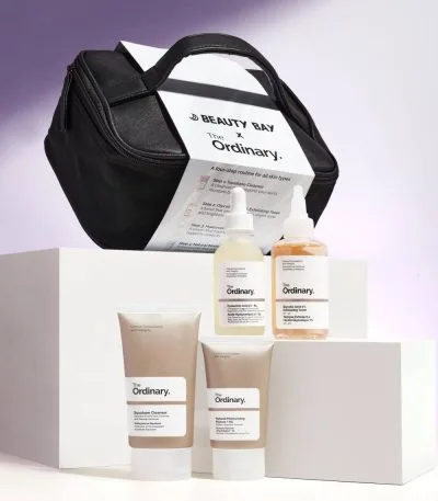 THE ORDINARY BAG