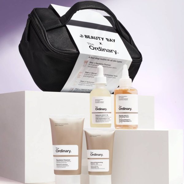 THE ORDINARY BAG