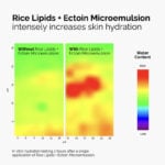 The Ordinary Rice Lipids + Ectoin Microemulsion Moisturizer Original Pakistan